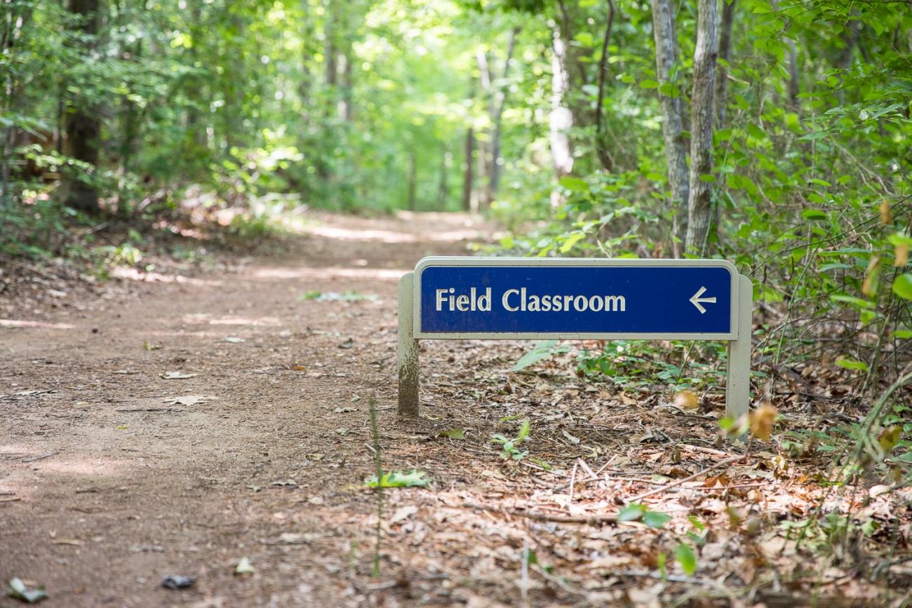view of unpaved walking trail surrounded by trees