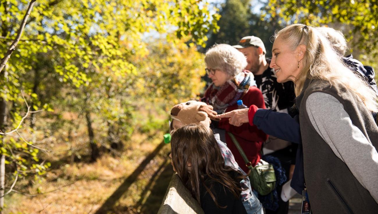 programmer and children observe wetlands and surrounding woods from wooden boardwalk