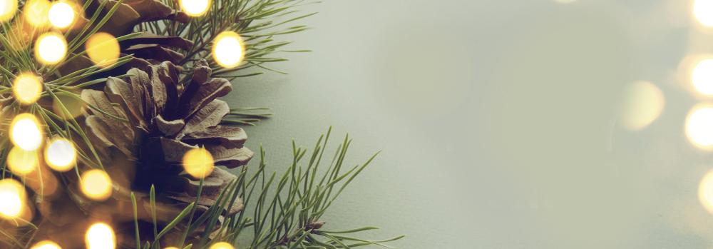 Lights on a Christmas tree