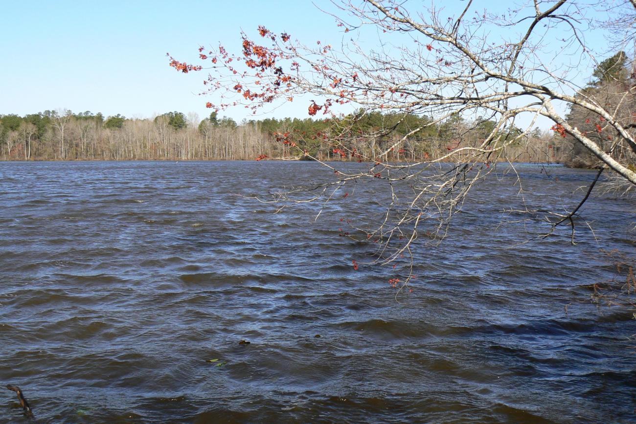 Lake Myra County Park Wake County Government