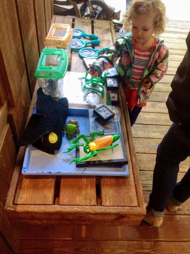 little girl looks at plastic bugs and insects on tray under wooden shelter
