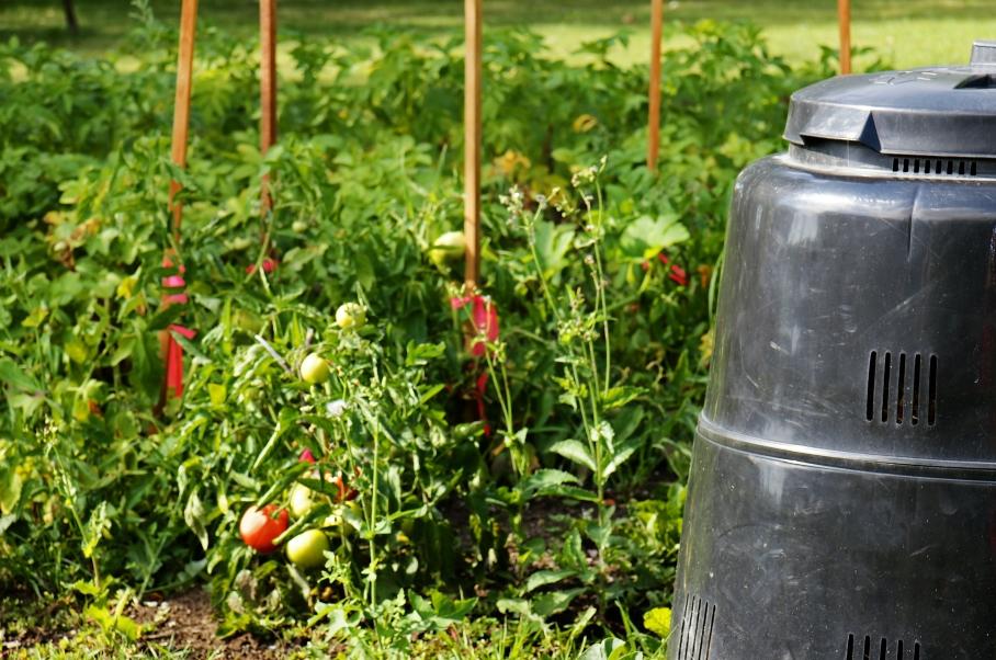 Earth machine compost bin in vegetable garden
