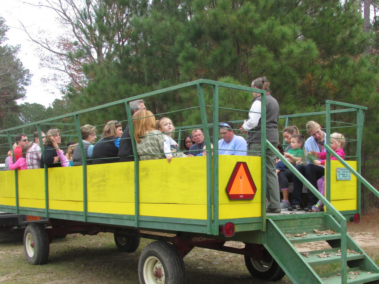 Photo of families on the park's wagon in the Longleaf Area learning about that ecosystem