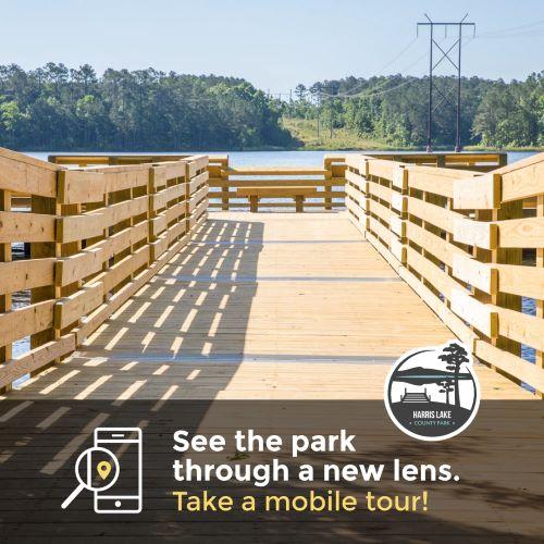 "Official" graphic for the Harris Lake County Park mobile tours
