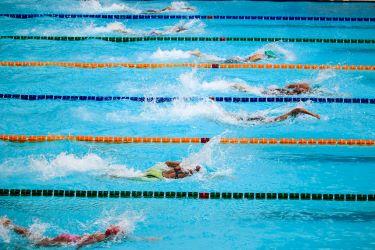 people swimming laps in pool