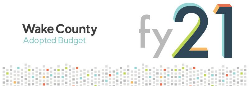 Budget-FY21 banner