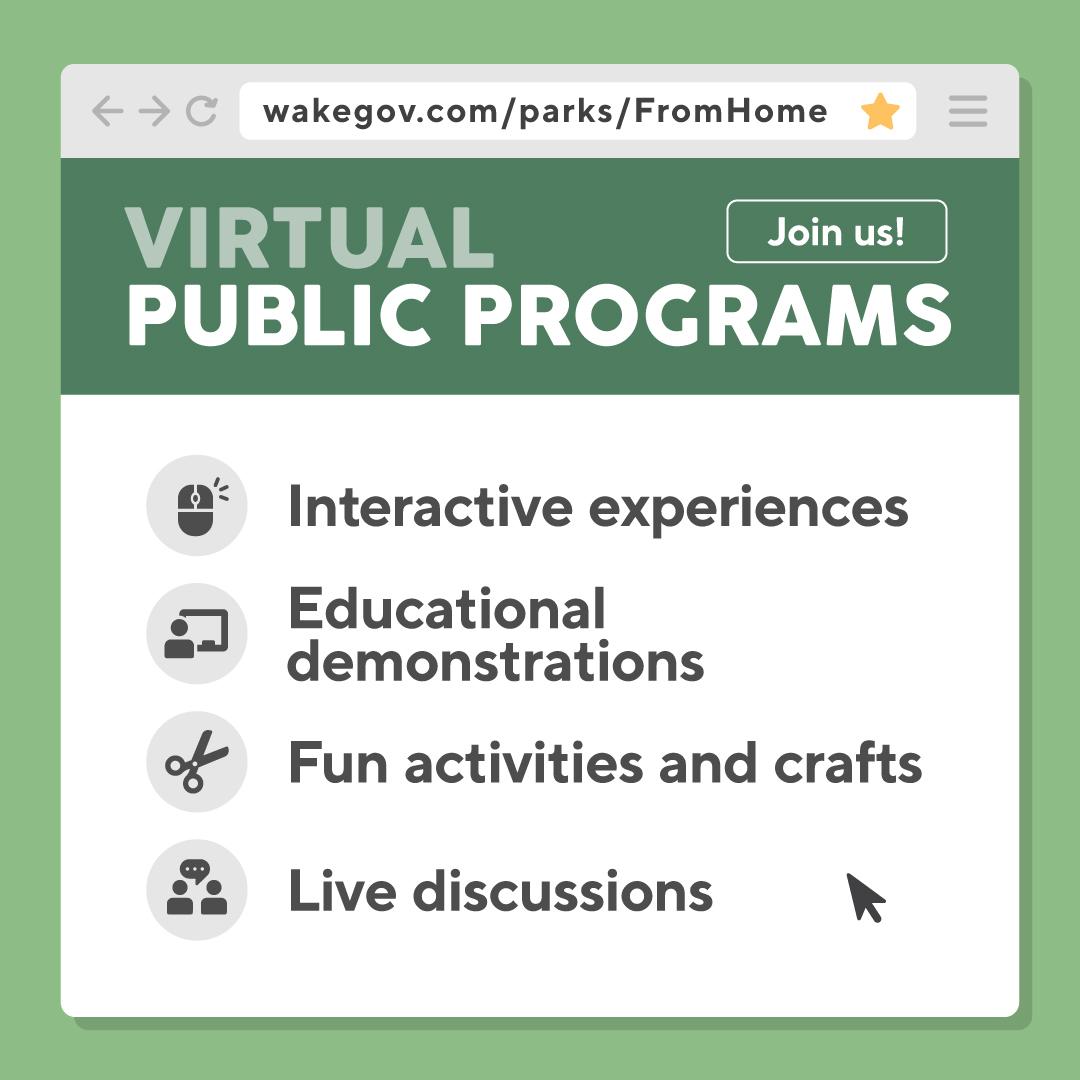 virtual public program opportunities