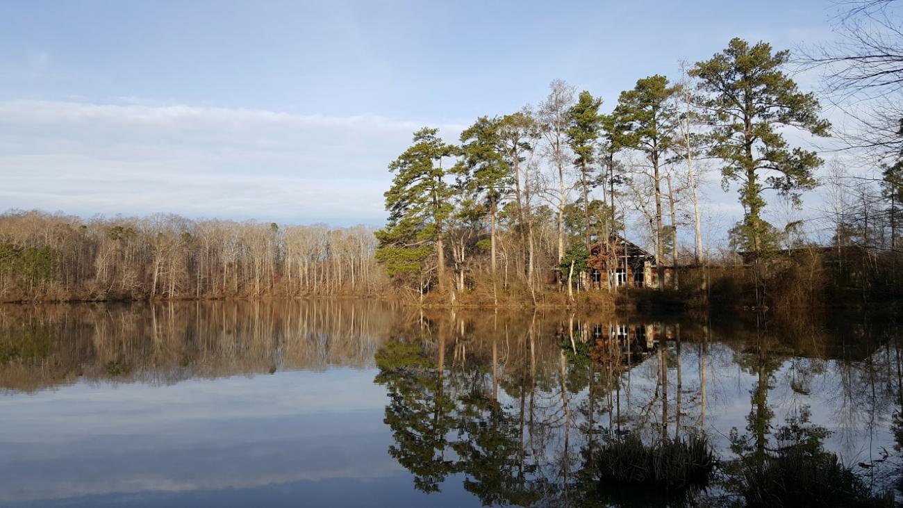 Yates Mill Pond