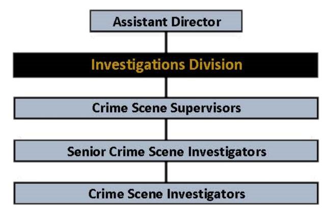 Investigations Division Ochart