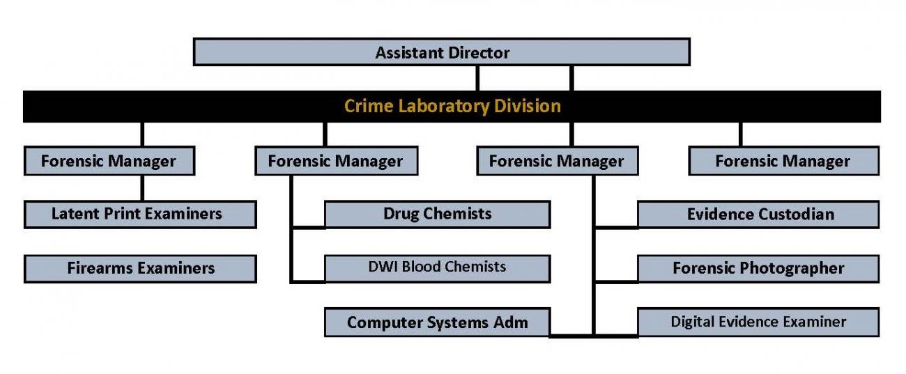Crime Laboratory Structure
