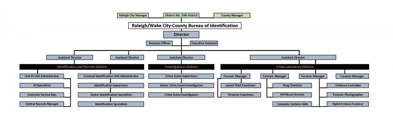 CCBI Organizational Chart