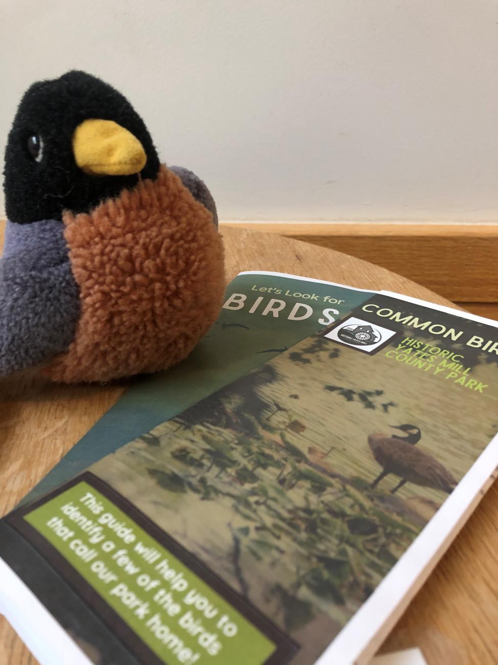 Yates Mill Bird Guides Photo