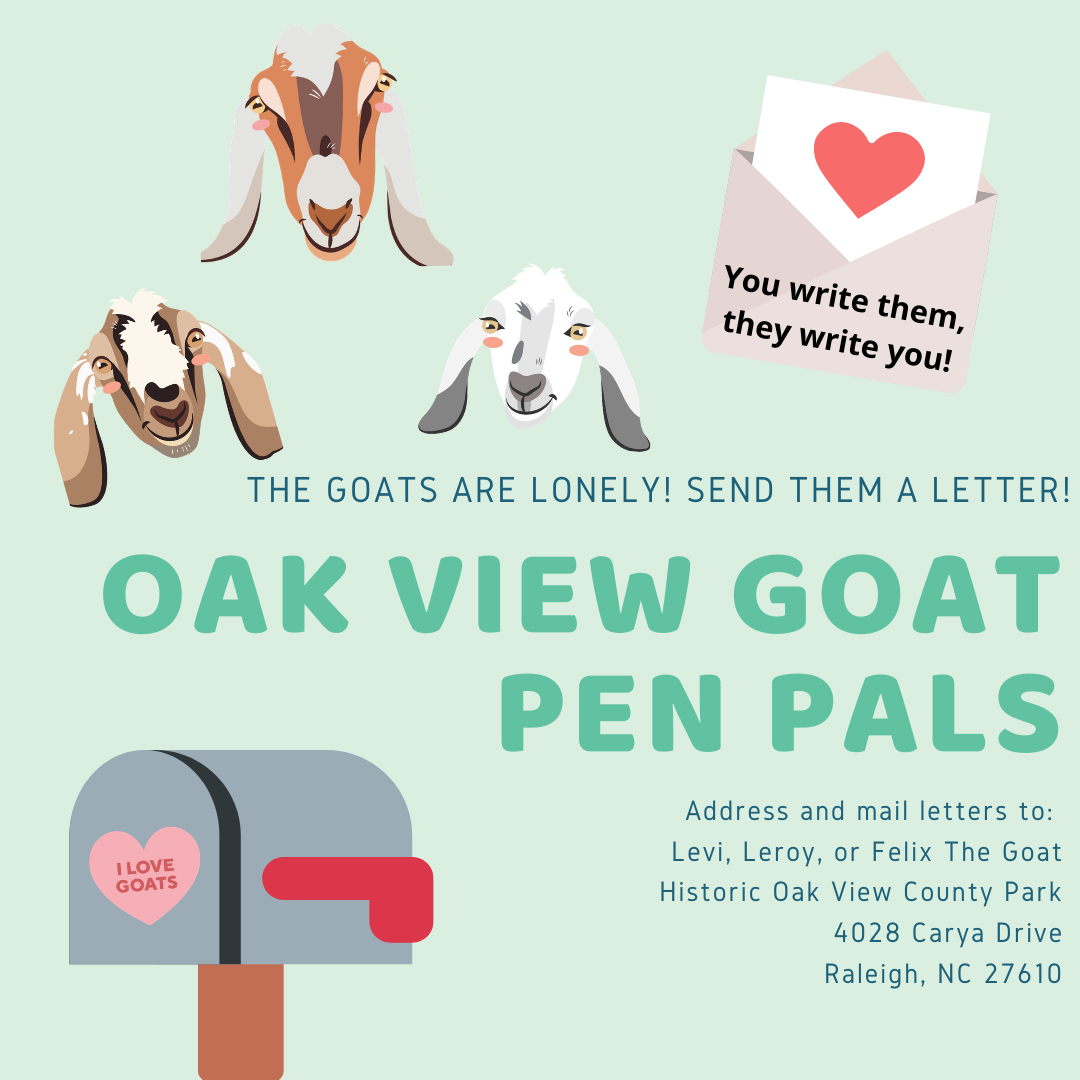 Graphic inviting letters to be written and sent to Levi, Leroy or Felix the Goat at Historic Oak View County Park
