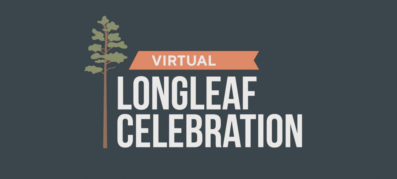 Virtual Longleaf Celebration graphic