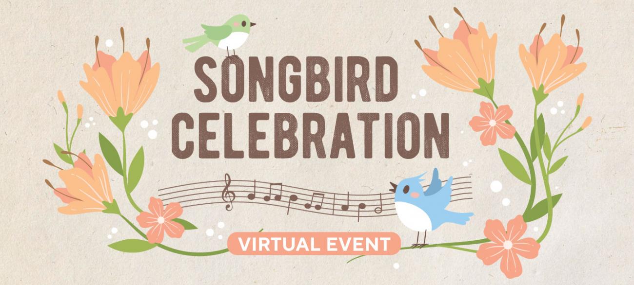Blue Jay Point Songbird Celebration