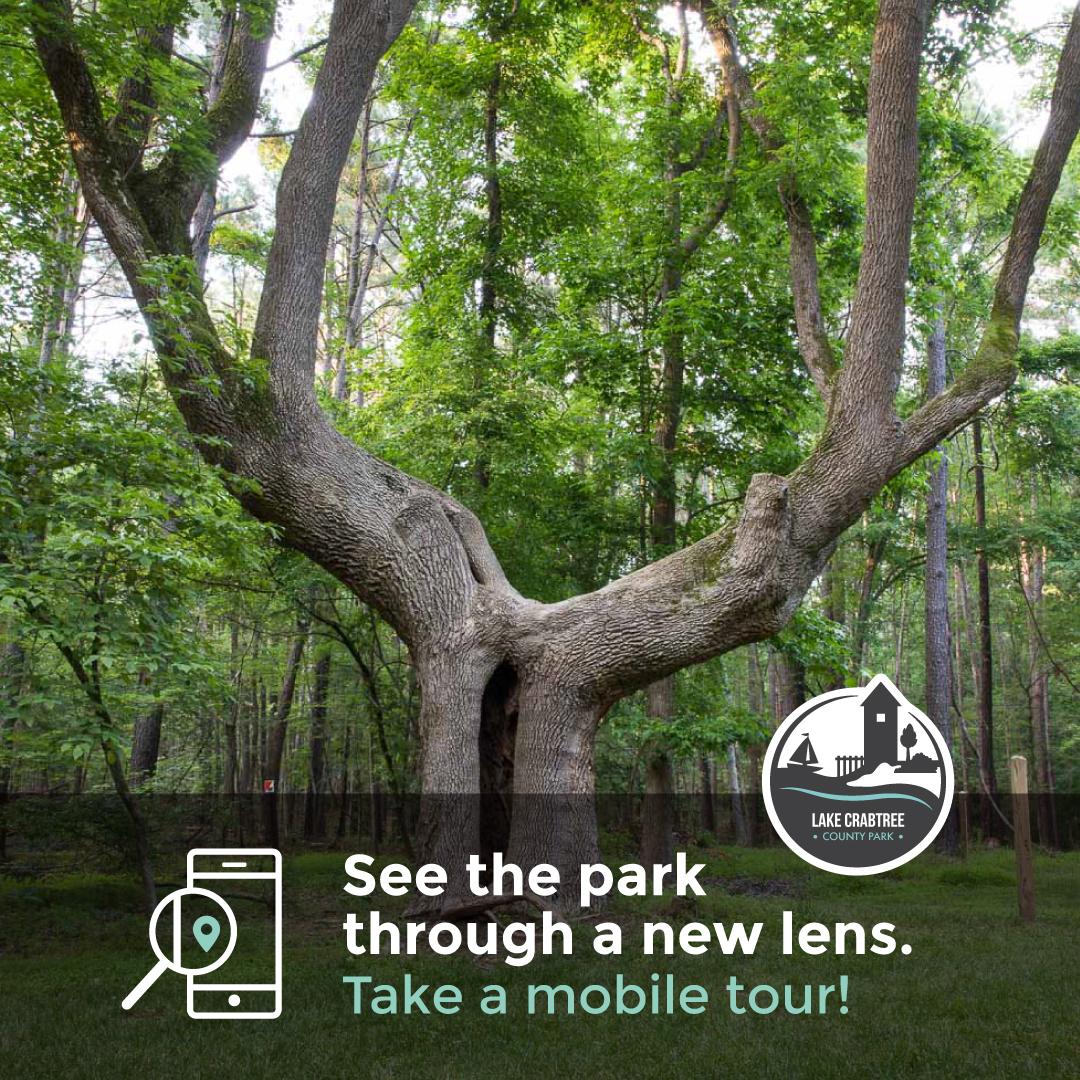 Mobile Tour graphic for Lake Crabtree Homesite