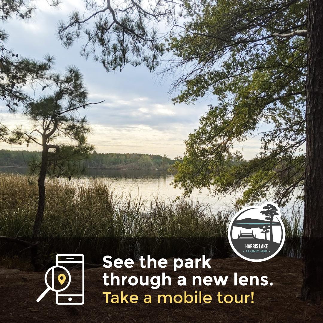 Graphic for the Red Fox Run Interpretive mobile tour