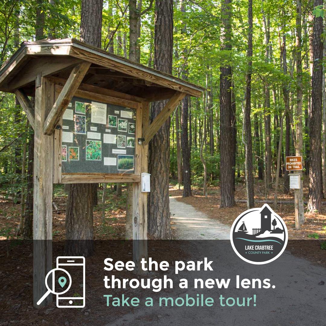 Mobile Tour graphic for Lake Crabtree Old Beech Nature Trail
