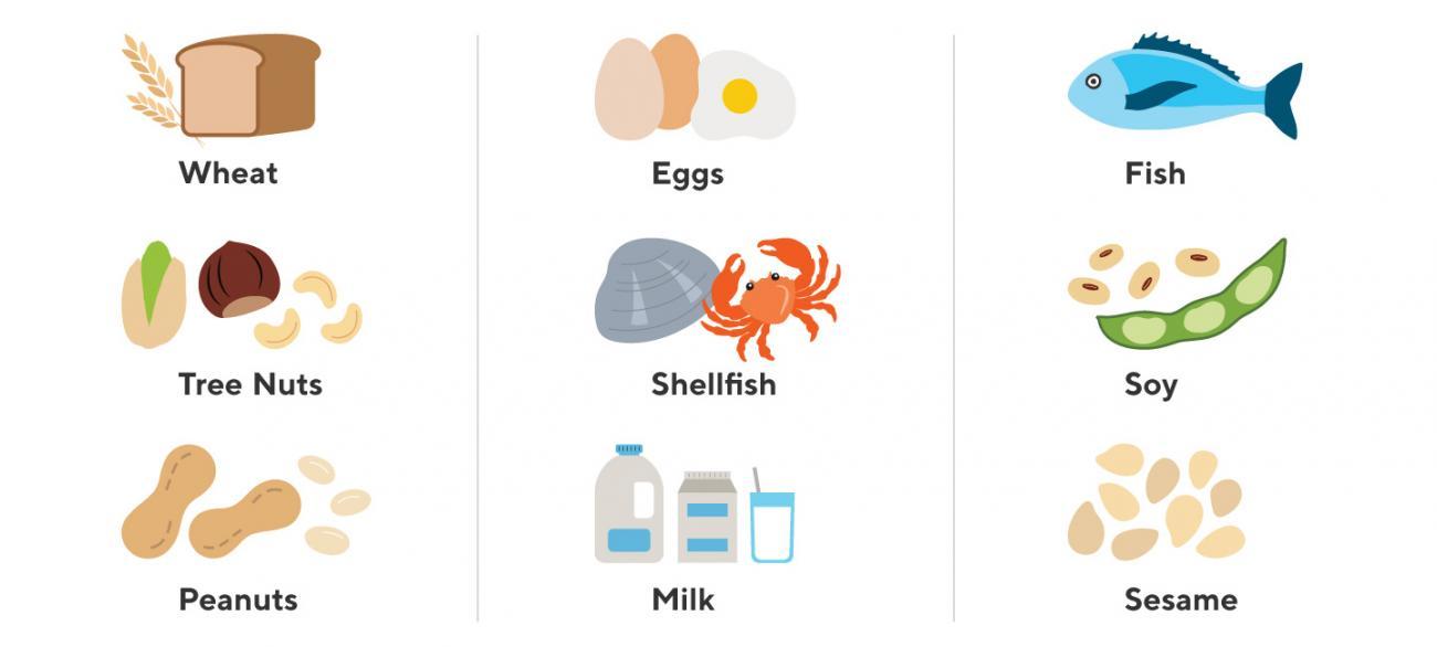 Images of wheat with bread loaf, tree nuts, peanuts, eggs, shellfish, milk cartons and glass, fish, soybeans and pod, sesame seeds