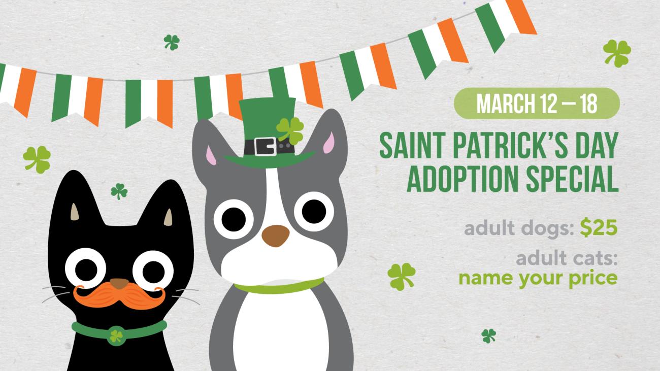 Animal Center mascots Kitty and Pitty with shamrock collar and leprechaun hat
