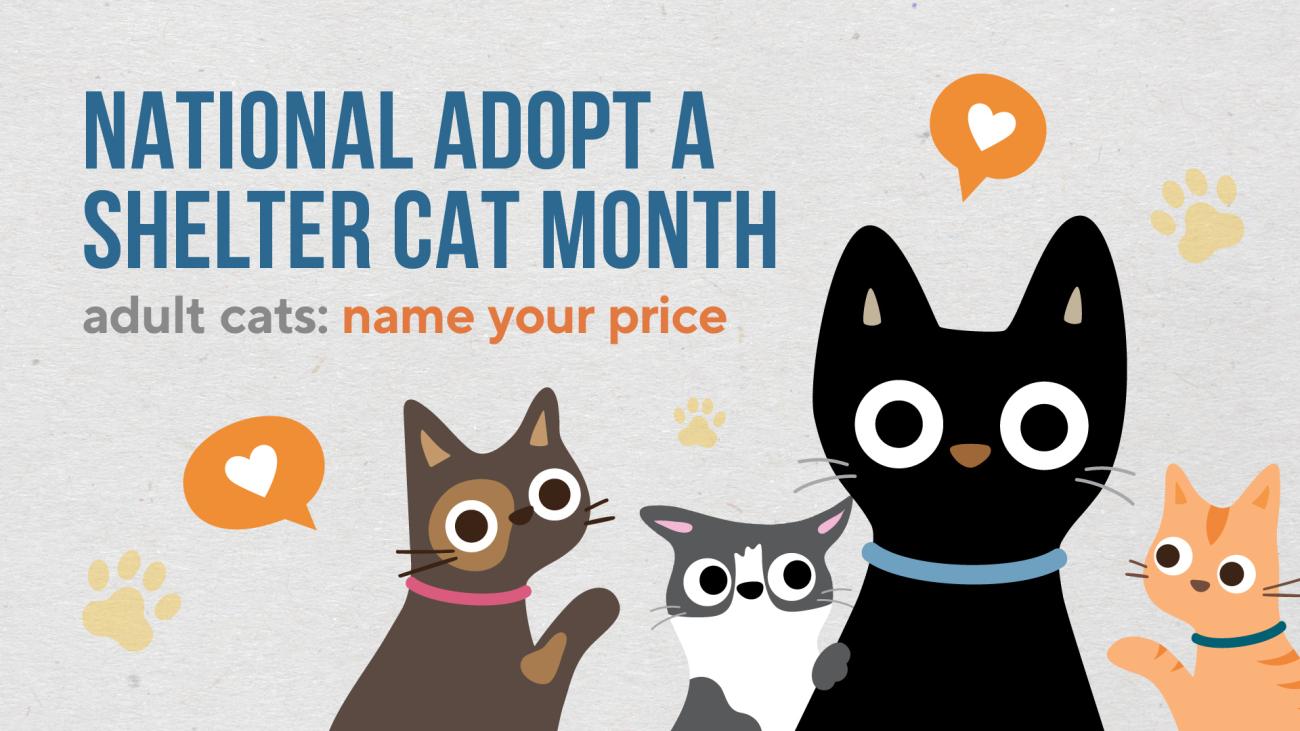 Illustrations of cats with the text, "National Adopt a Shelter Cat Month, adult cats: name your price"