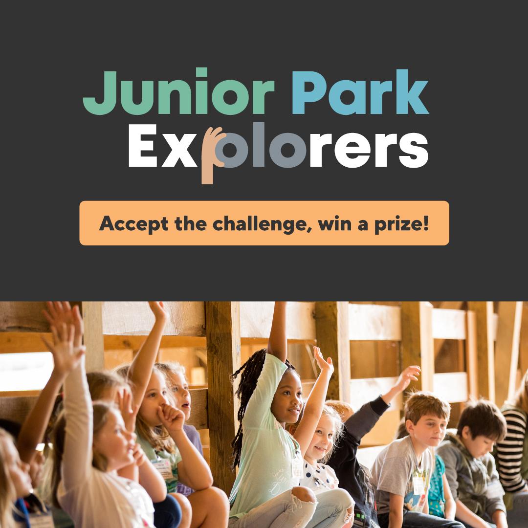 Junior Park Explorer graphic