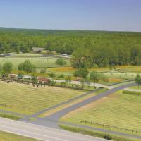 Beech Bluff Master Plan-Aerial Perspective