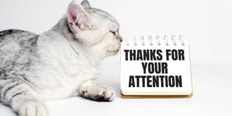 Thanks for your attention