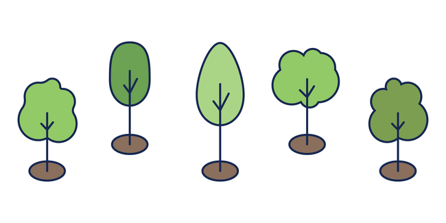Approved Street Trees