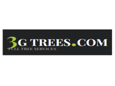 3-G Trees