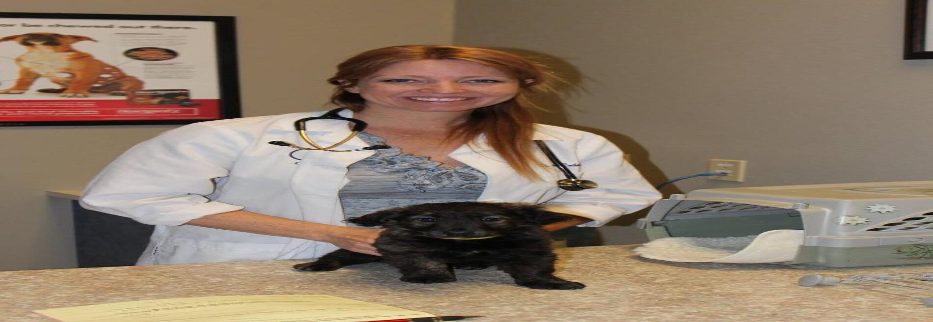 4 Paws Pet Hospital, A Thrive Pet Healthcare Partner