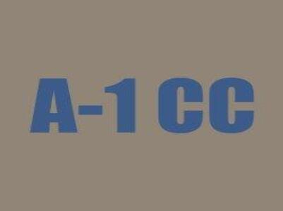 A-1 Check Cashing Inc.