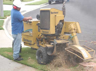 A-1 Stump Grinding
