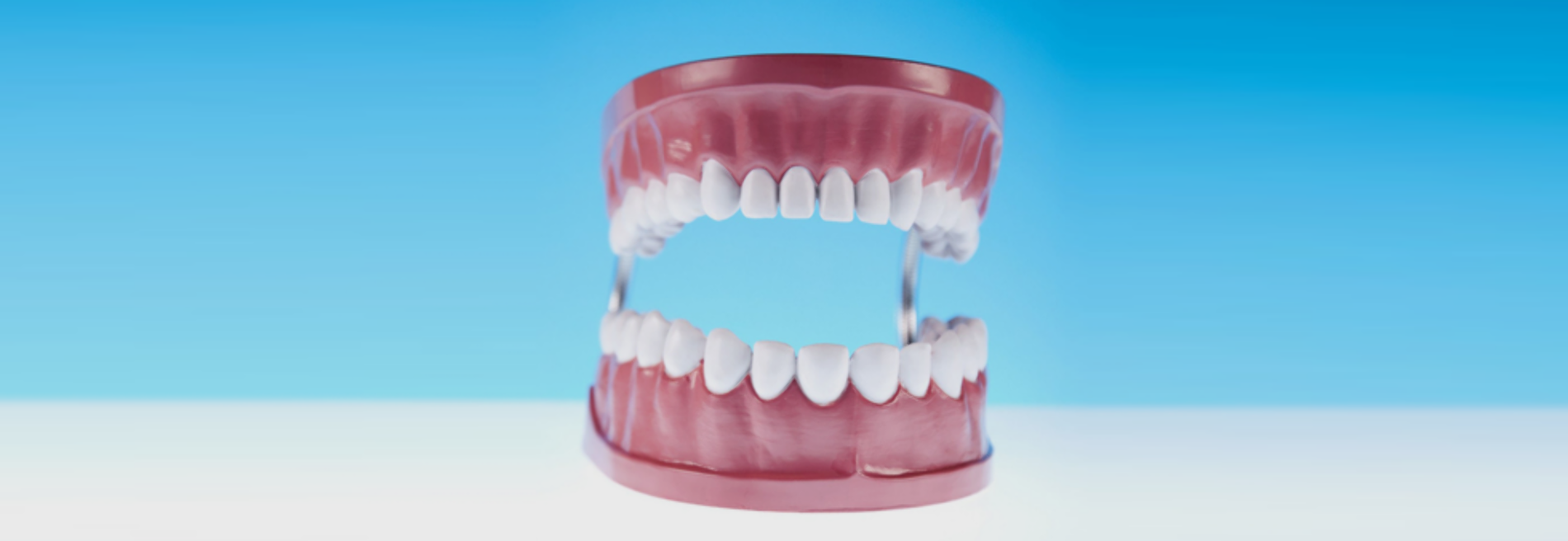 A Affordable Dental Services LLC, Michael Davidson DMD