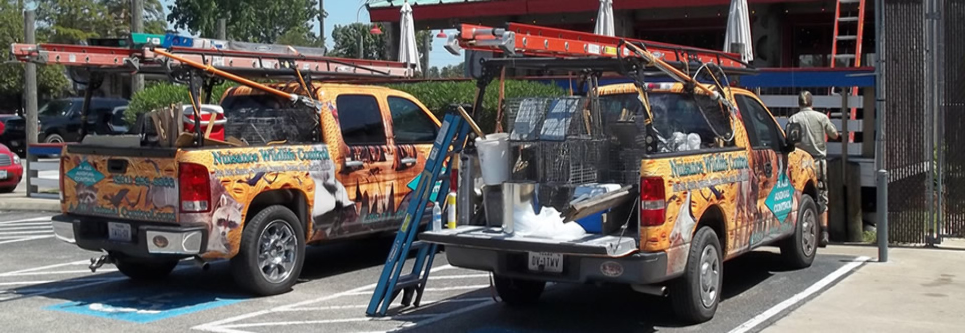 A All Animal Control