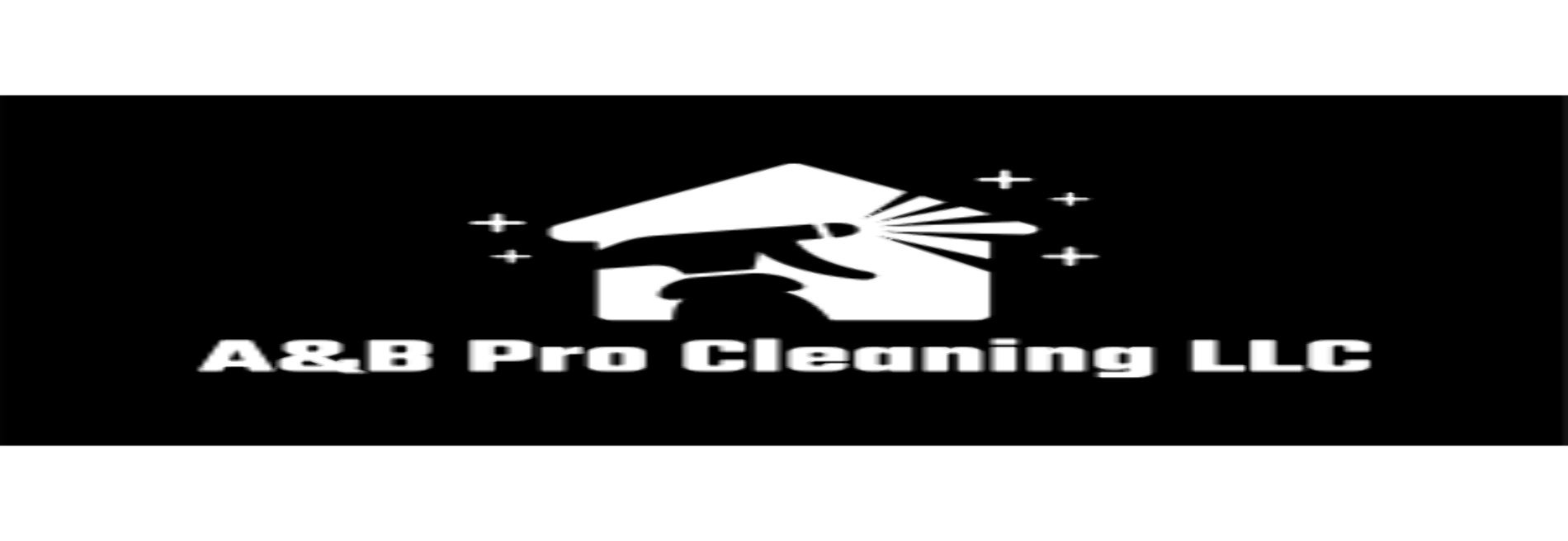 A&B Pro Cleaning LLC