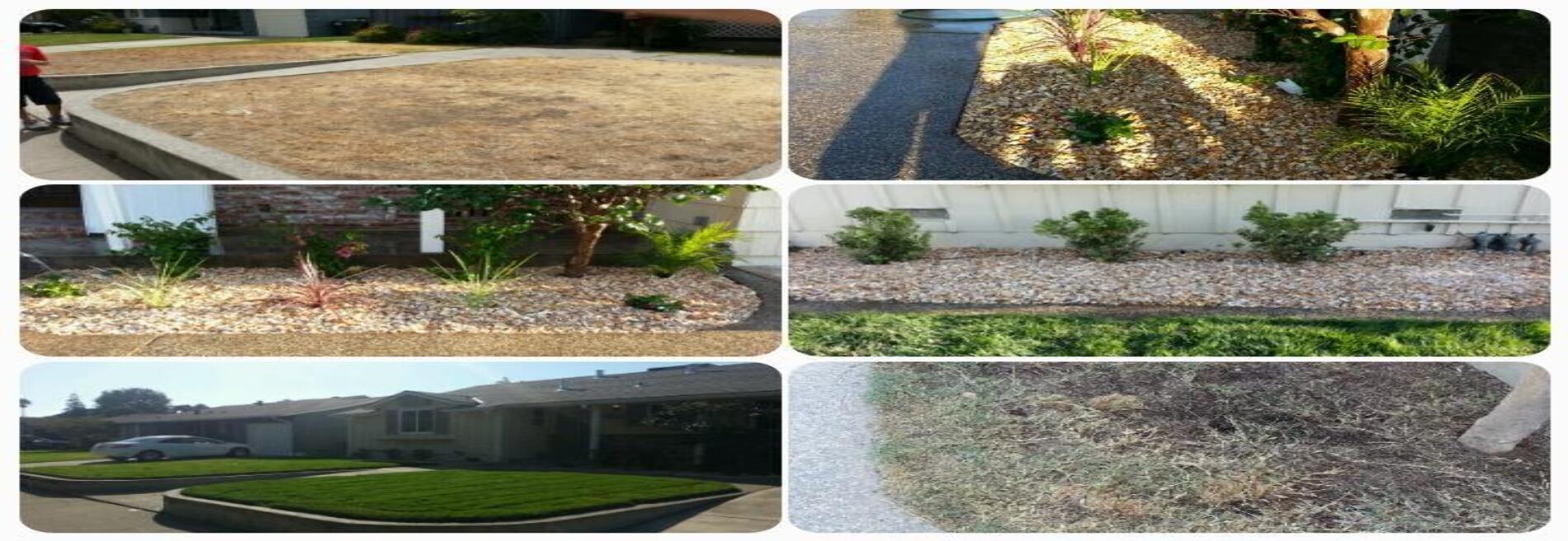 A. D. Landscape Service