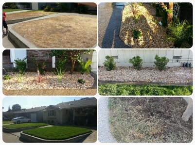 A. D. Landscape Service