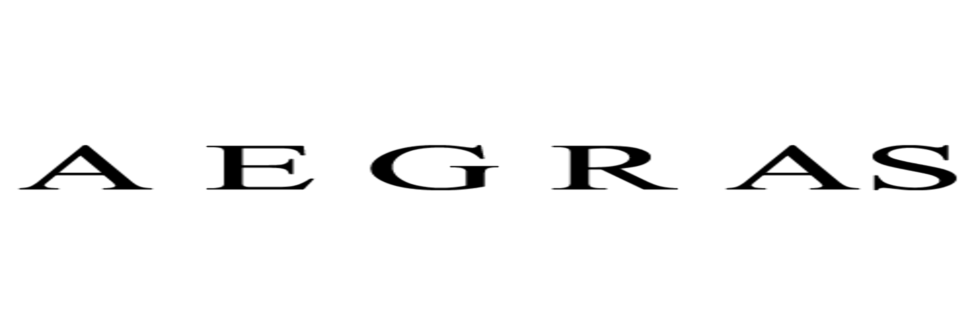 A. E. G. R. Auto Sales Inc