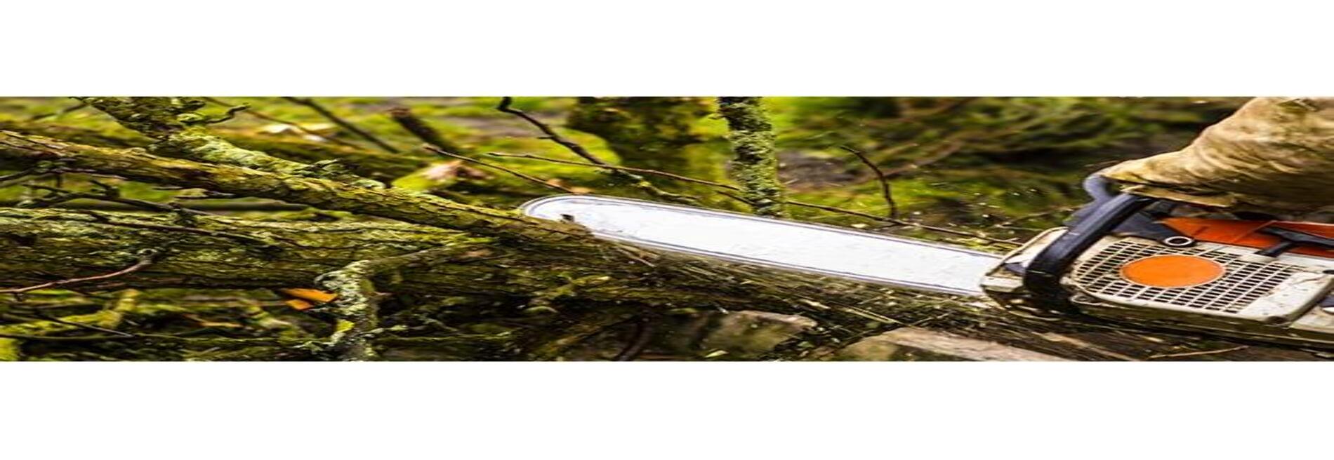 A & J Affordable Tree Care