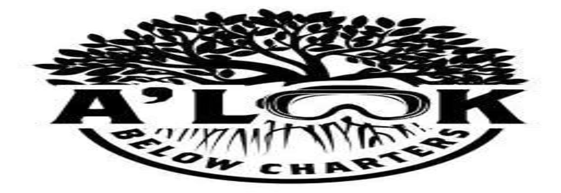 A' Look Below Charters