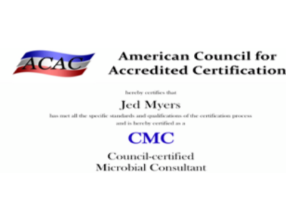A Mold Specialist