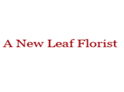 A New Leaf Floral