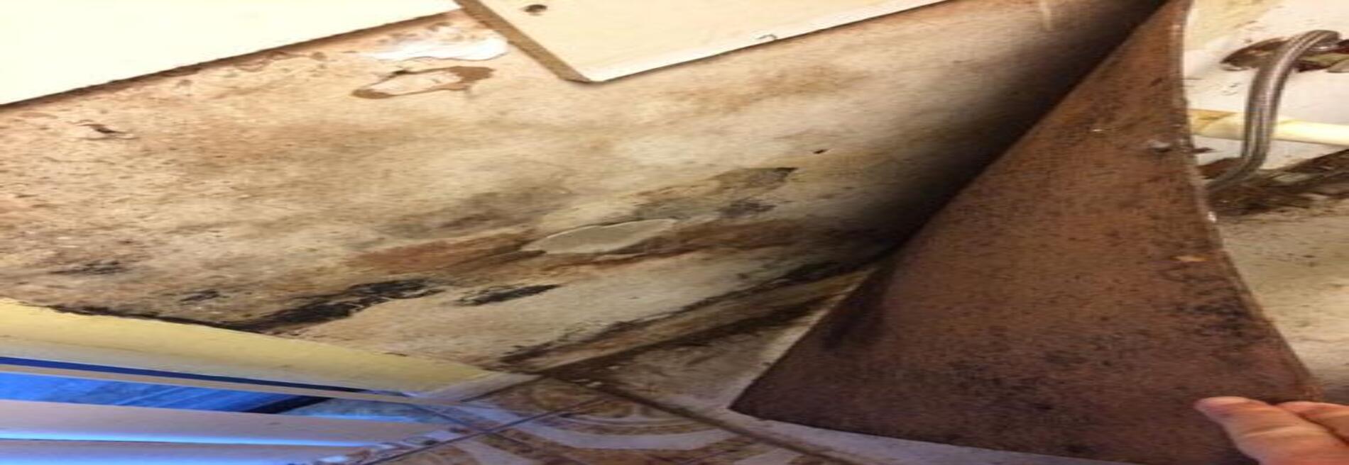 A Plus Mold Remediation Inc.