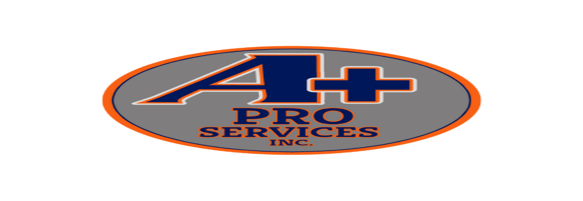 A+ Pro Services