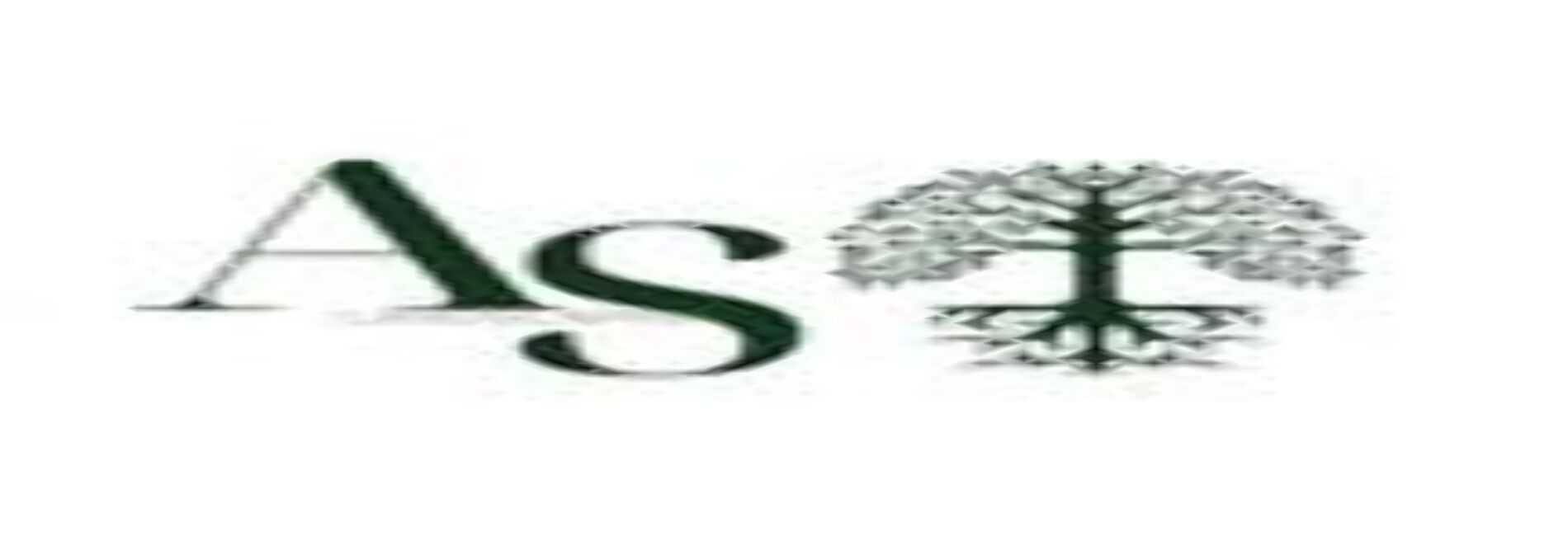 A & S Landscaping Services