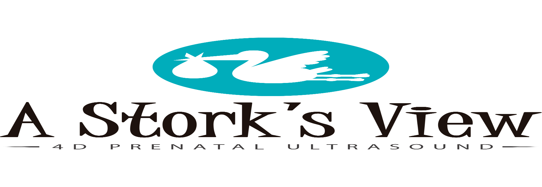 A Stork's View