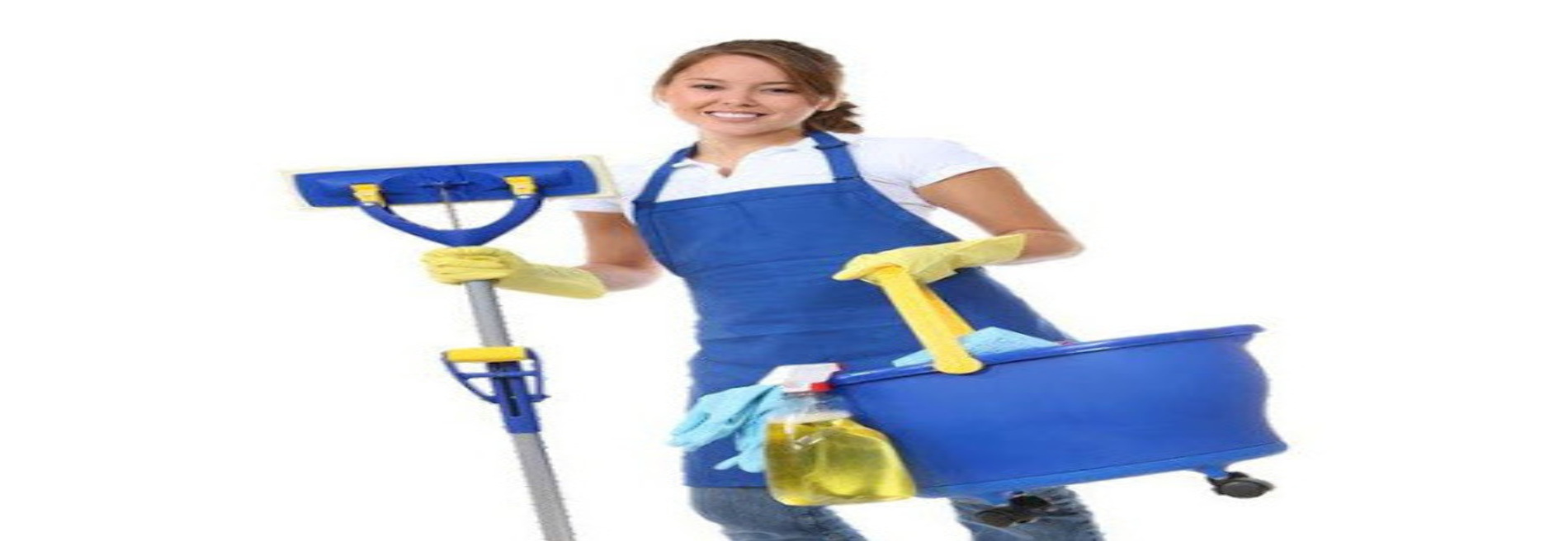 A to Z Indoor Care