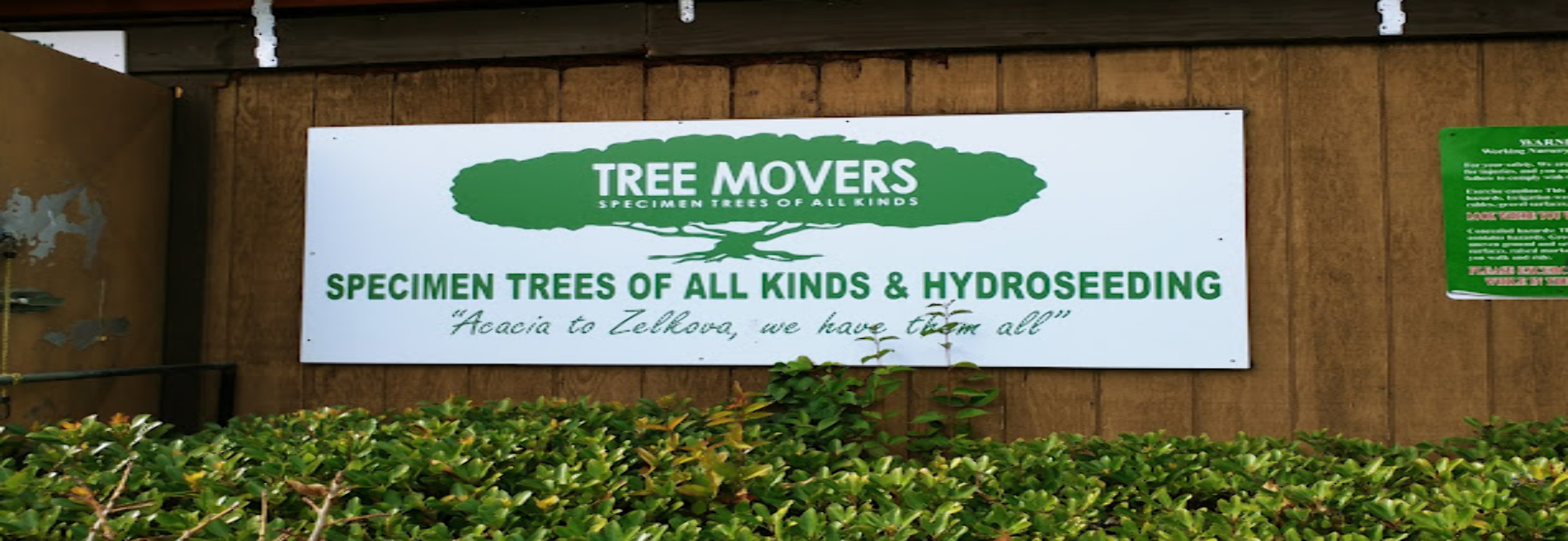 A To Z Tree Specimen Nursery-Tree Movers & Hydroseeding