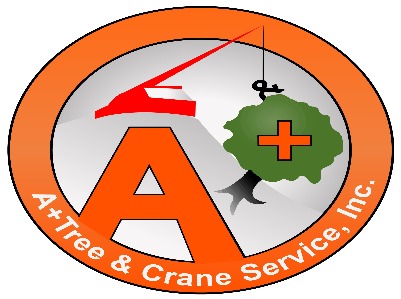 A+ Tree & Crane Services